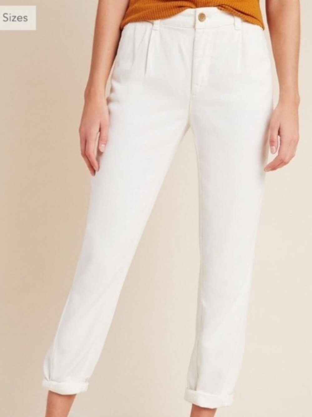 NWOT Anthropologie Scout Pleated Tapered Pants 30
